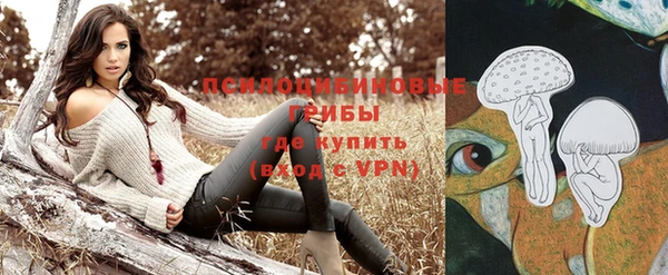дмт Володарск
