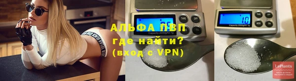 Альфа ПВП Верея