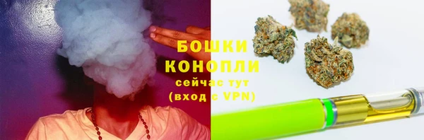 шишки Верхнеуральск