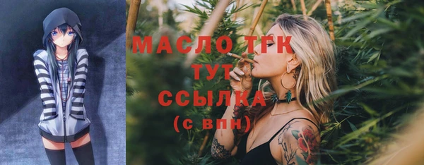 Альфа ПВП Верея