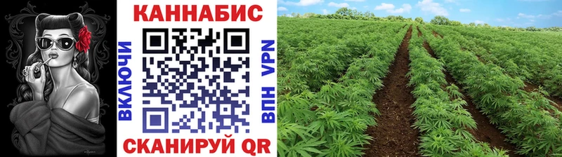 omg зеркало  Нерчинск  Бошки марихуана тримм 